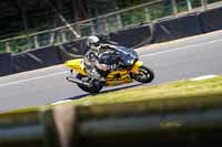 brands-hatch-photographs;brands-no-limits-trackday;cadwell-trackday-photographs;enduro-digital-images;event-digital-images;eventdigitalimages;no-limits-trackdays;peter-wileman-photography;racing-digital-images;trackday-digital-images;trackday-photos